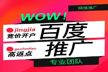SEM托管服务案例：优化策略与效果展示